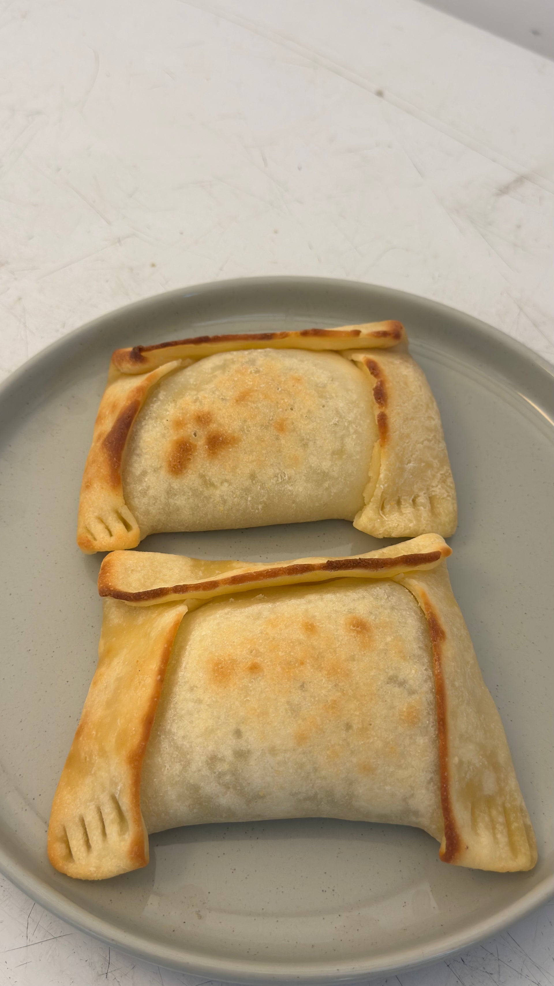 Empanada Pino de soya. Sin gluten, Vegana